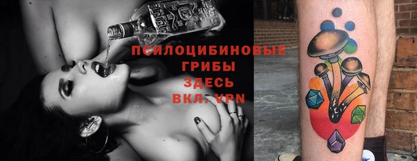 гидра Белокуриха