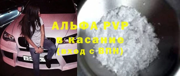 гидра Белокуриха