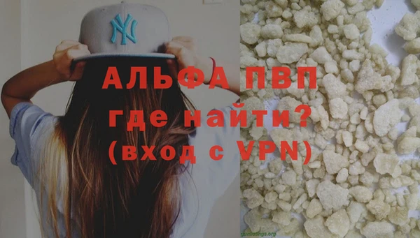 гидра Белокуриха